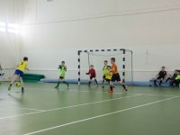 IMG_4613